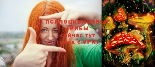 mdpv Арсеньев