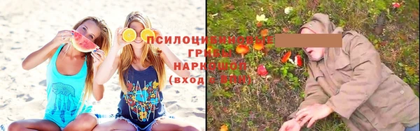 mdpv Арсеньев
